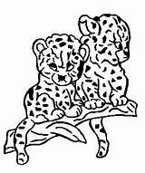 Leopardo Colorir Desenhos Colorat Dibujo Pantera Félins Jaguar Panteras Kolorowanki Pantere Coloriage Felins Gepardy Imprimer Desene Animale Mascara Dessins P09 sketch template