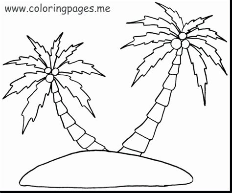 palm branch coloring sheet unique palm tree coloring sheets reddogsheet