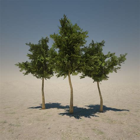 pine tree short   model obj freed