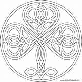 Celtic Shamrock Celtics Donteatthepaste Knots Colouring sketch template