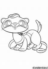 Ferret Ferrets Kleurplaten Littlest 2550 Lps Footed sketch template