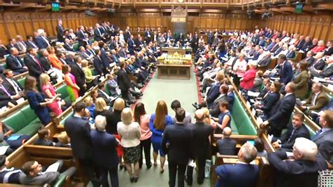 history shows house  commons pairing row    politics