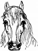 Paardenhoofd Hoefijzer sketch template