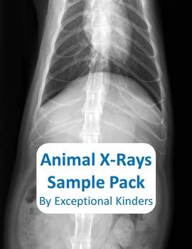 animal  ray images  sample  exceptional kinders tpt