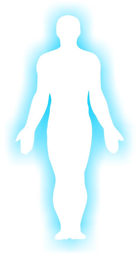 outline  human body clipart clipart