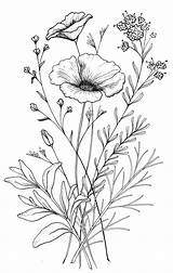 Drawing Beautiful Flower Sketch Sketches Drawings Choose Board Bouquet Tattoo Coloring sketch template