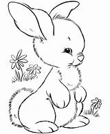 Bunny Easter Coloring Pages Clipart Clip Rabbit Views sketch template