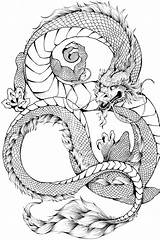 Dragones Colorear Wonder sketch template