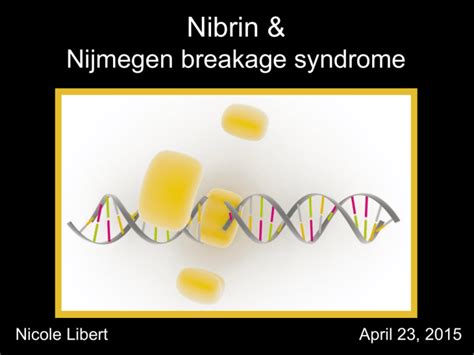 file nbn nijmegen breakage syndrome