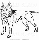 Pitbull Bull Clipart Pit Vector Graphics Clipartmag Drawing Clip Face sketch template