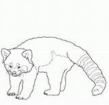 Panda Lone Dinosaur Sketch Azcoloring Coloringhome Malvorlagen Gemerkt sketch template