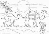 Colouring Camels Scene Coloring Camel Pages Wildebeest Desert Color Printable Animals Print Activity Become Member Log Getcolorings sketch template