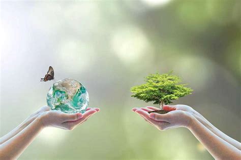 Maneiras De Preservar O Meio Ambiente 5 Dicas Que Você Precisa