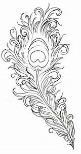 Coloring Pages Peacock Adult Feather Printable Choose Board Drawing sketch template