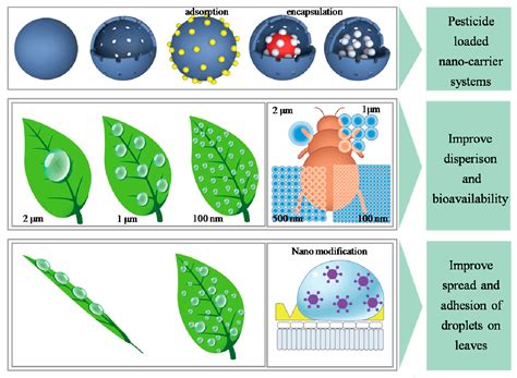 Nanomaterials Free Full Text Advances In Targeted Pesticides With
