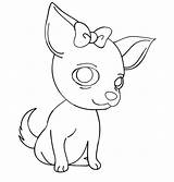 Coloring Chihuahua sketch template