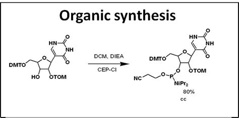 organic synthesis fb  institute  pharmaceutical  biomedical