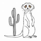 Desert Coloring Pages Animals Printable Printablee Via sketch template