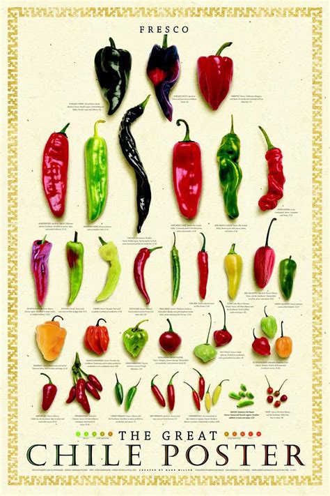 chili peppers types chart