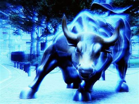blue bulls wallpaper  atmichaelh blue bulls wallpapers blue bulls wallpapers