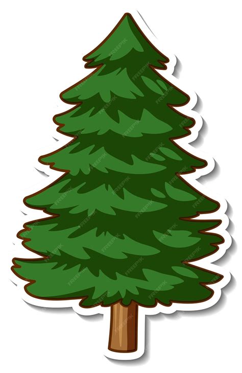 vector sticker design   spruce  pine tree isolated