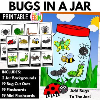 bugs   jar printable activity reward  flashcards insects tpt