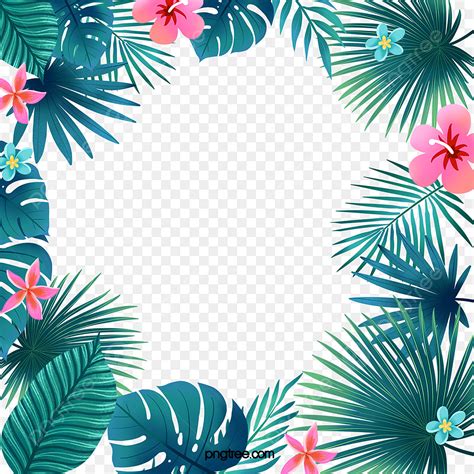 tropical plant border hd transparent flower border  tropical plants