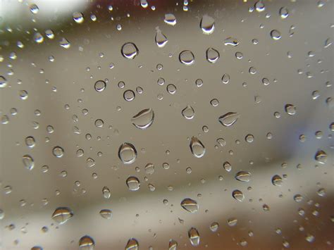 raindrops  photo  freeimages
