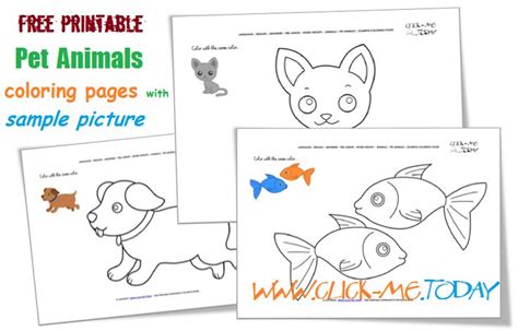 printable pet animals  coloring pages color pet animals