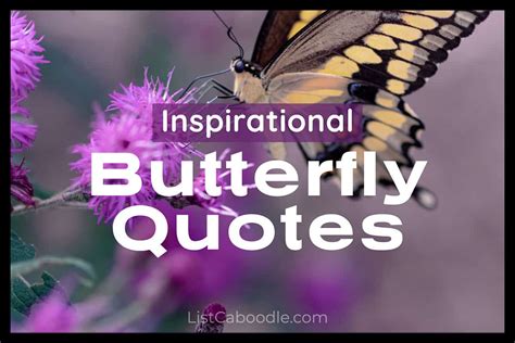 butterfly quotes  inspiring sayings listcaboodle