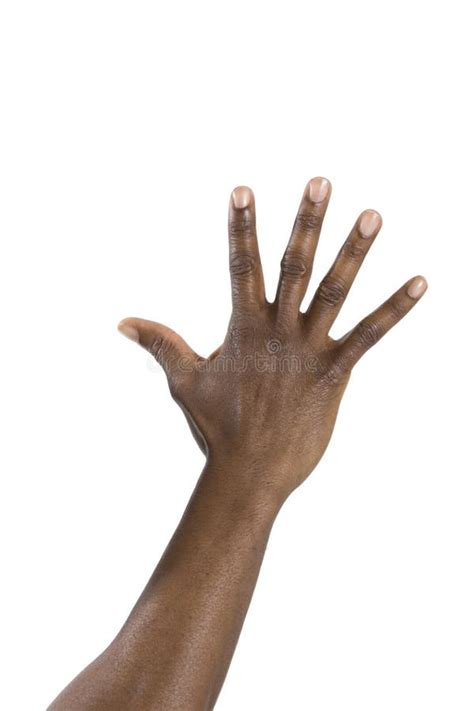 hand  black man stock photo image  finger fingers