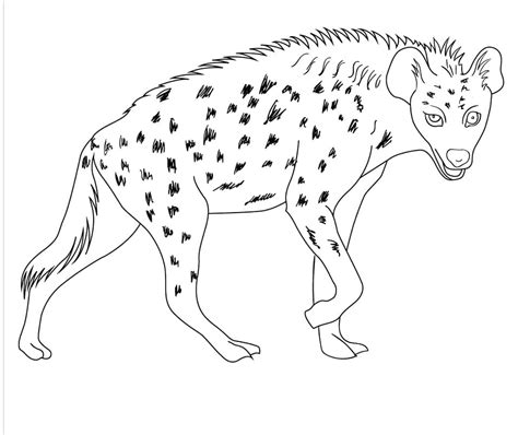 hyena clipart coloring pages animal hyenas spotted cliparts scary clip
