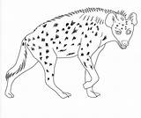 Hyena Hyenas sketch template