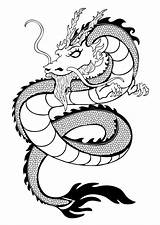 Drago Disegno Serpente Nero Profilo Stampa Schizzo Tatuaggio Siluetta Decorativo Coloritura sketch template