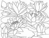 Coloring Pages Water Printable Monet Watercolor Cherry Waterlilies Lilies Blossom Drawing Flower Color Japanese Scenery Book Lily Family Cardinal Red sketch template