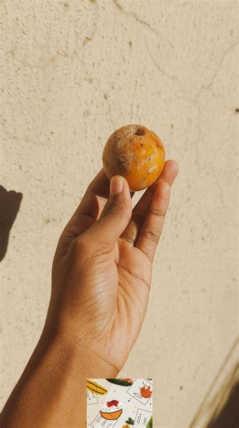 agbalumo udara african cherry cherry peach food and drink