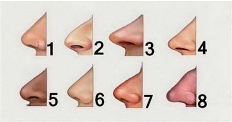 nose personality health flicks