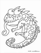 Coloring Pages Chameleon Animal Funny Kids Color Reptile Reptiles Chameleons Printable Cartoon Creative Cute Print Colouring Snake Sheets Book Jackson sketch template