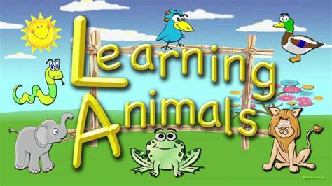 teaching  animals  preschoolers lakeofcode