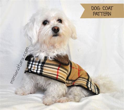 easiest sewing pattern  dog coat hazmihassain