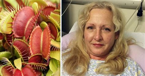 Botched Surgery Leaves Lady With Venus Fly Trap Vagina That Bit Lover