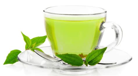 green tea  miracle drink     lose weight