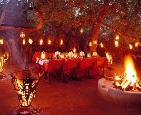 makanyane safari lodge dining   stars courtesy  makanyane lodge  luxe lookbook