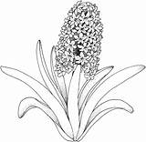 Coloring Pages Single Flower Adult Color Printable Flowers Getcolorings sketch template