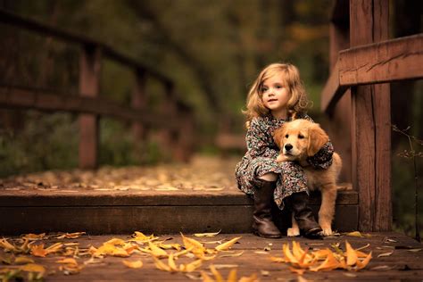 girl  golden retriever puppy wallpaperhd cute wallpapersk