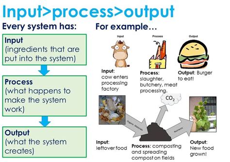 input process output computational thinking teacher toolkit  grade science