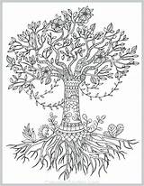 Coloring Tree Life Pages Olive Drawing Adult Pecan Printable Simple Coloringgarden Adults Mandala Color Celtic Template Book Print Paintingvalley Apple sketch template