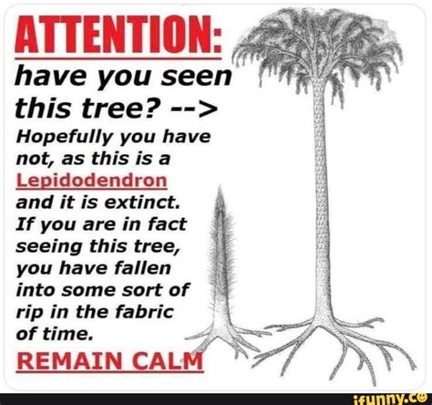 lepidodendron memes  collection  funny lepidodendron pictures  ifunny
