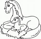 Coloring Pages Horses Easy Preschoolers Print sketch template