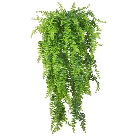 buy plants vines fern persian rattan fake hanging plant faux hanging boston